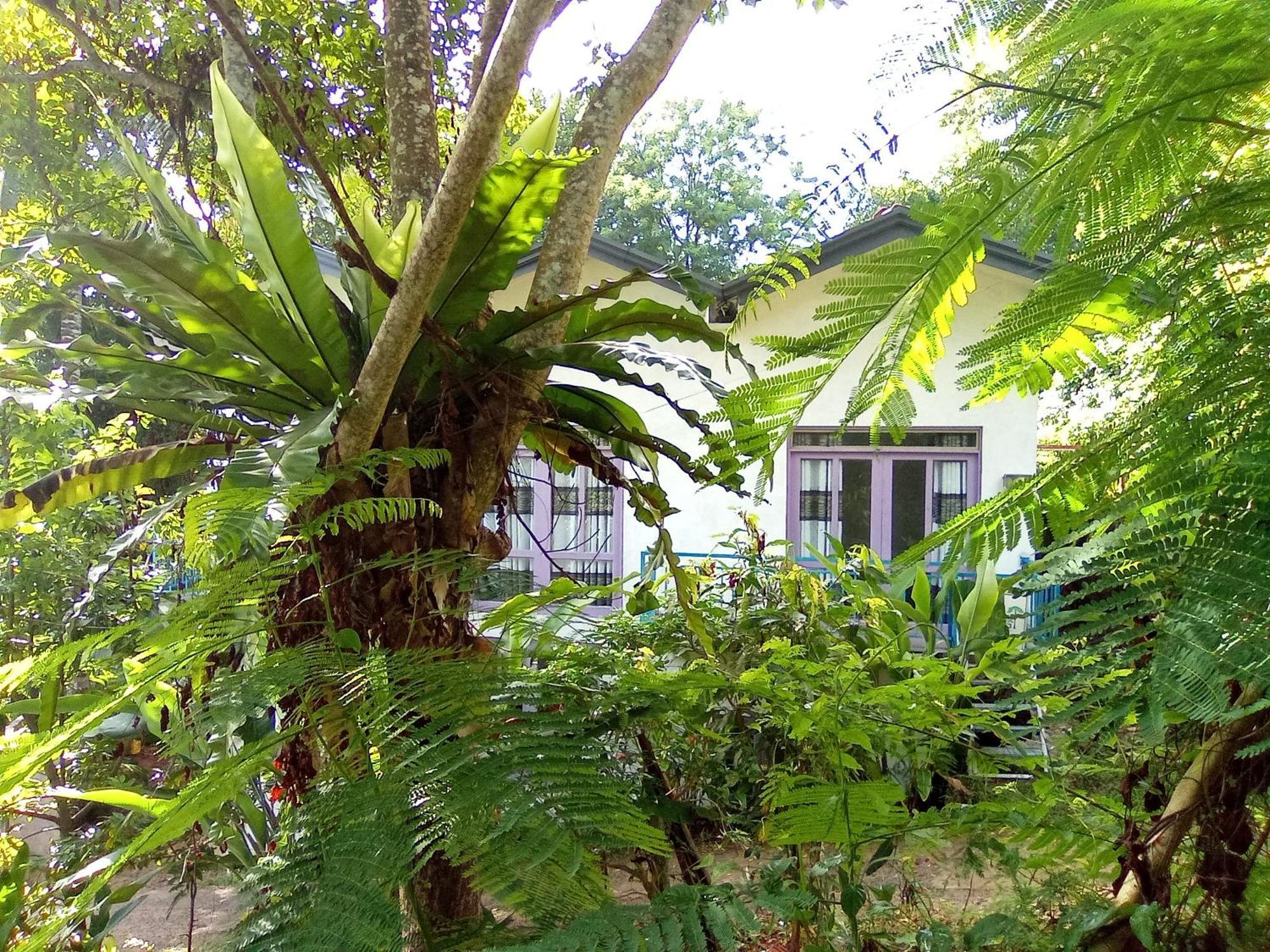 Hotel House 73 Unawatuna Esterno foto